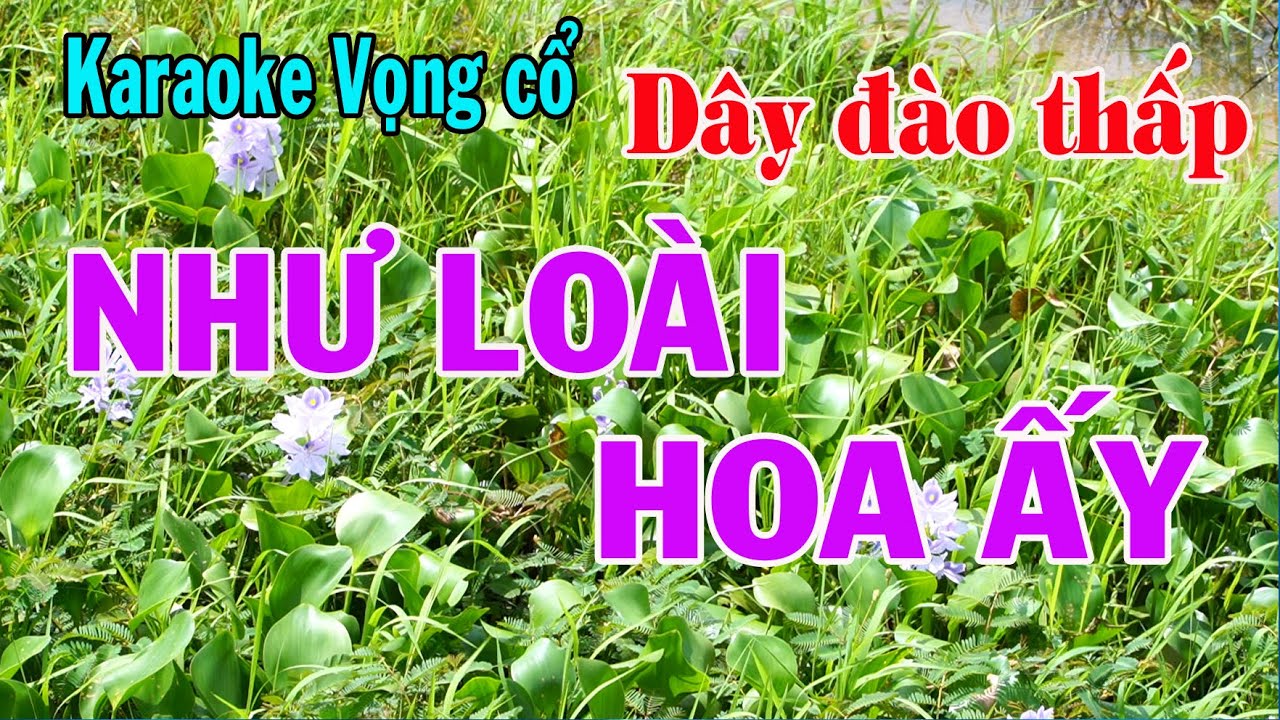 Karaoke vọng cổ NHƯ LOÀI HOA ẤY - DÂY ĐÀO THẤP [T/g Hà Nam Quang]