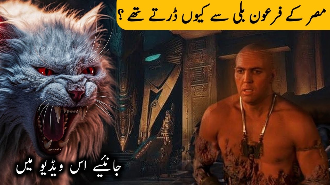 Real History of Egyption Cats in Urdu Hindi | Firon Billi Se Kiun Darte Thay |  Islami Manzar