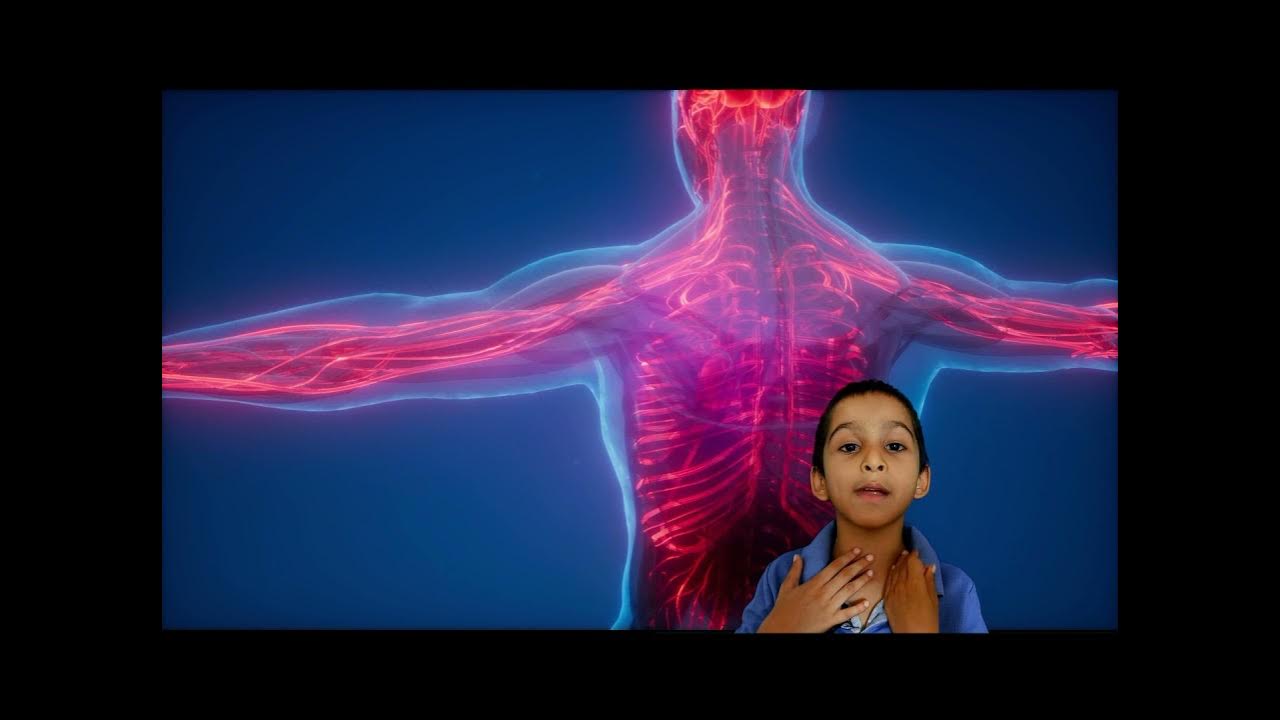 body me kitni sugar hoti hai shorts YouTube