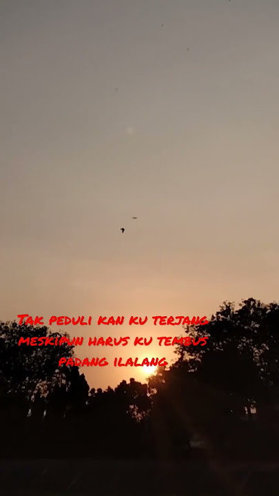 Camelia 2 - Ebiet Gad #shorts #nostalgia #tembang #kenangan@Radiojaddoels