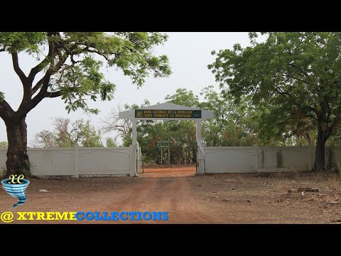 Pendjari National Park in Tanguieta, Benin