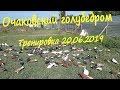 Очаковский голубедром. Тренировка голубей 20.06.2019