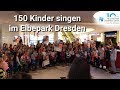MSGL Kindermusical Flashmob im Elbepark Dresden 2019