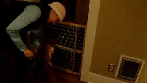 Nelson meet Jeff
