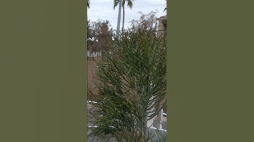 Rescue 35 Responding code 3 to a Unknown call