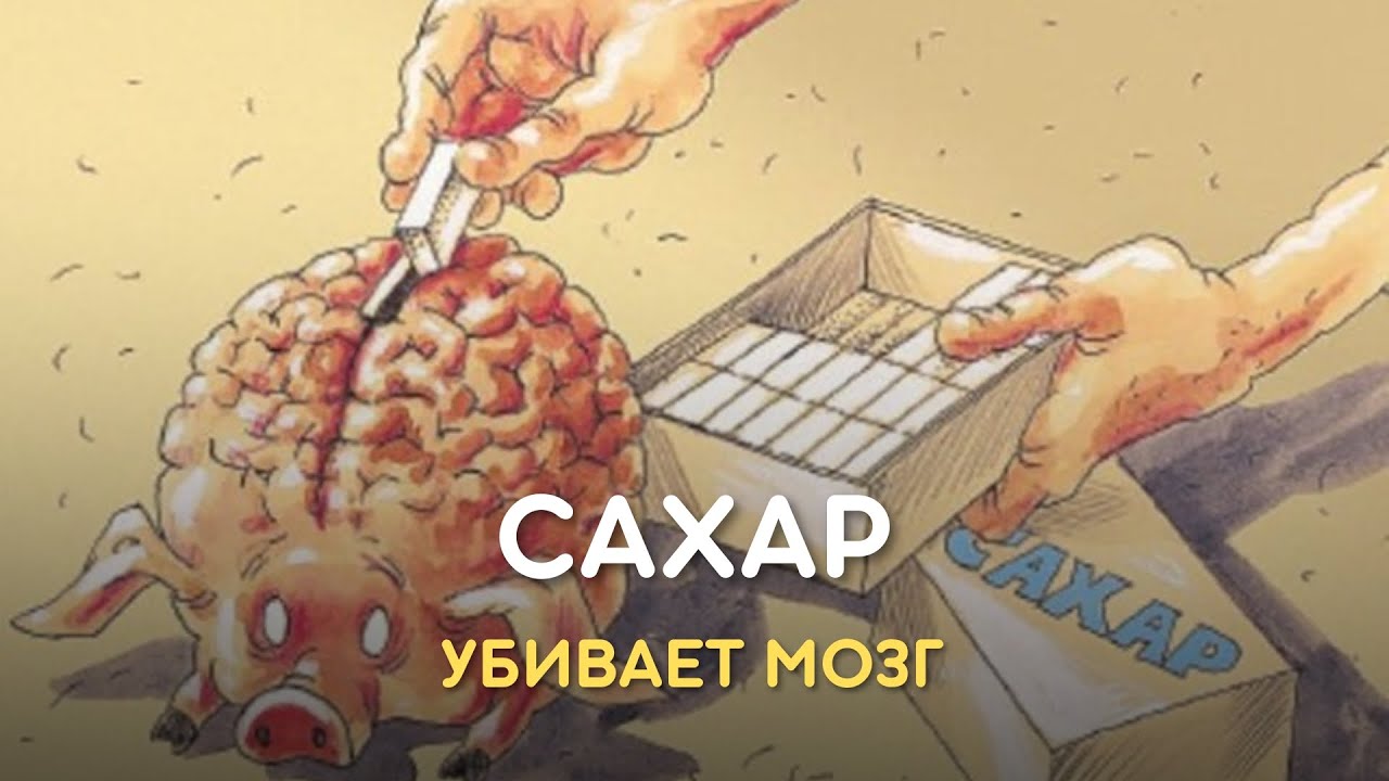 Как сахар убивает мозг?