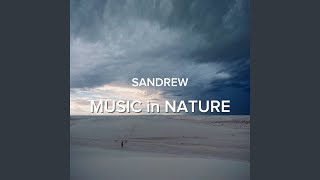 Sand Waves
