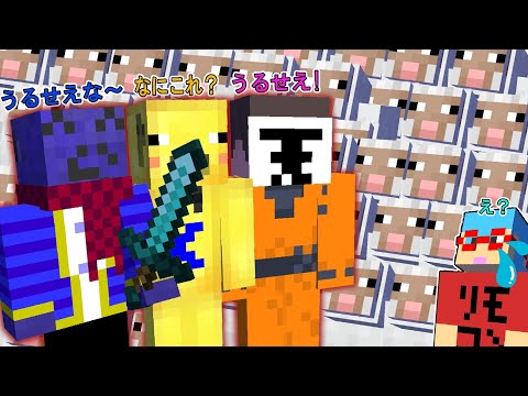 マイクラ健康鯖でとんでもない羊テロを起こしクレームが入る【切り抜き】