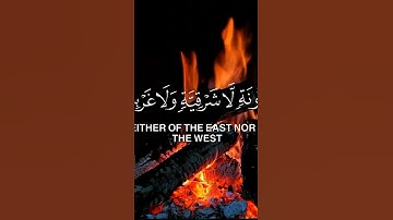 Quran alkrim - القرآن الكريم #quran #المصحف #حالات_واتس #اكسبلور