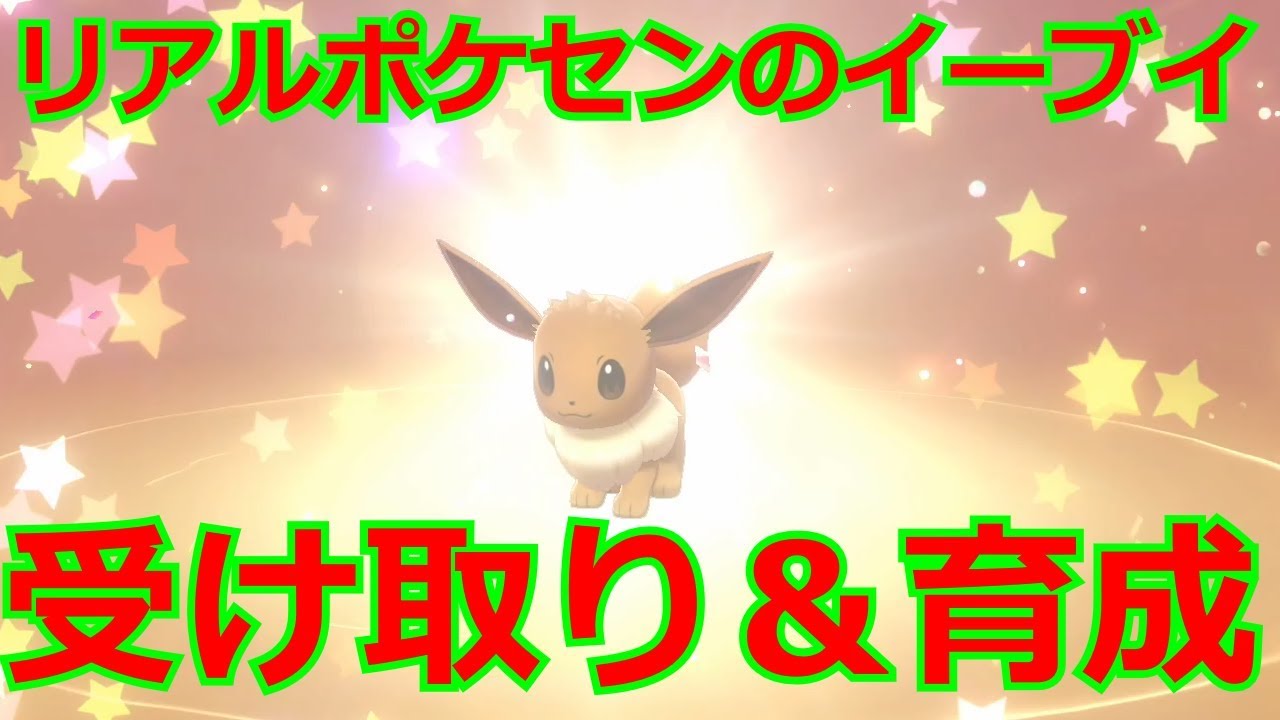 ポケモン剣盾 誕生日イーブイを受け取って育てる Youtube