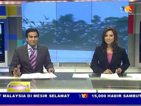 Video: Burung Apa Yang Berhijrah