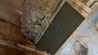 Konyoku Mixed Bathing For Family Nasu Shiobara Onsen Gensenkan, Tochigi, Japan