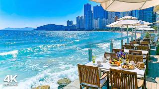 Happy Bossa Nova Jazz at Beach Cafe Ambience 🌊 Morning Jazz Music & Crashing Waves Sound for Study