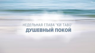 :   O   (  ) - :  