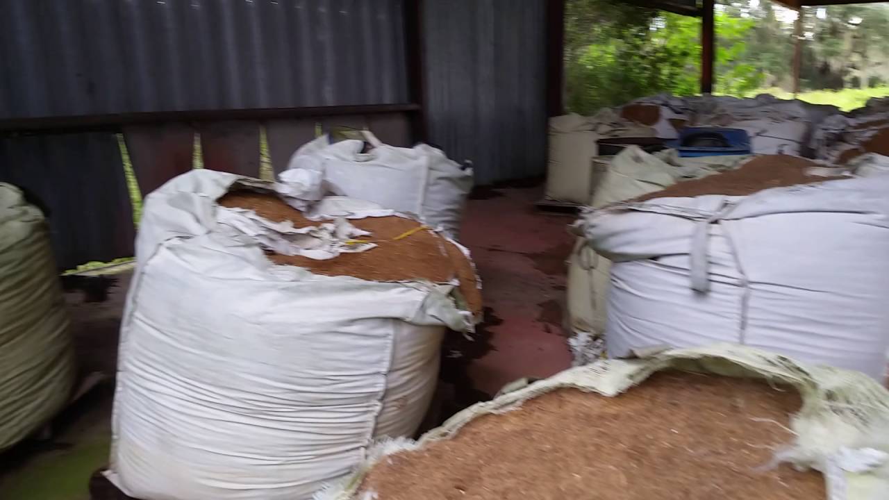 Abandoned Structures in Hilochee WMA Part Two