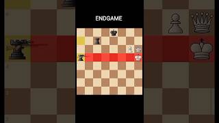 ENDGAME ☠️ 2Rooks means game Yourself 💪 Sacrifice Mate -59 #shorts #chess #endgame