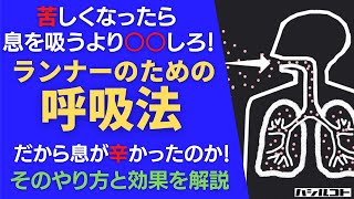 苦しくなったら息を吸うより○○しろ！ランナーのための呼吸法 だから息が辛かったのか！そのやり方と効果を解説