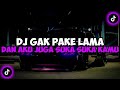 DJ GAK PAKE LAMA || DJ DAN AKU JUGA SUKA  SUKA KAMU JEDAG JEDUG MENGKANE VIRAL TIKTOK