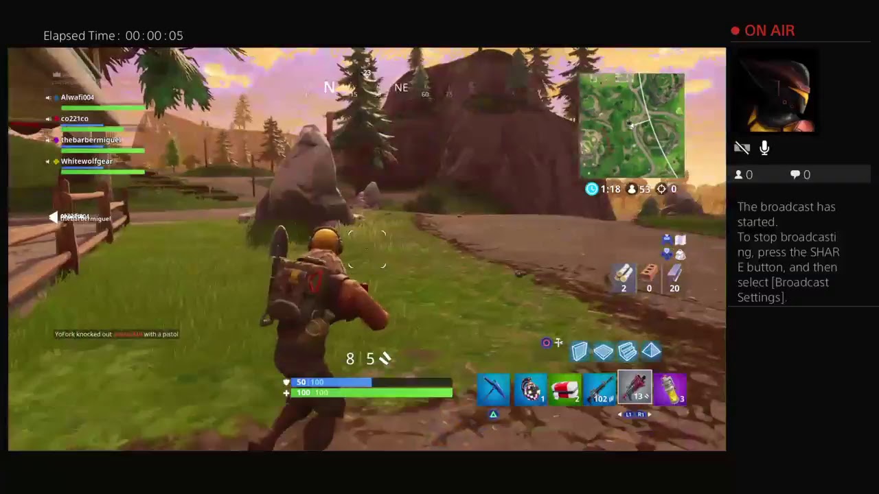 Fortnite stink grenade