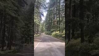 Kasol to Manikaran Scenic Drive | Parvati Valley Riverside Views &amp; Mountain Vibes #djsetah