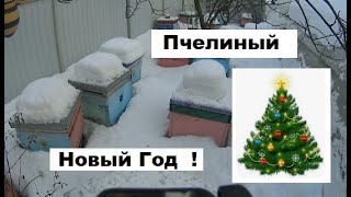 Пчелиный календарь