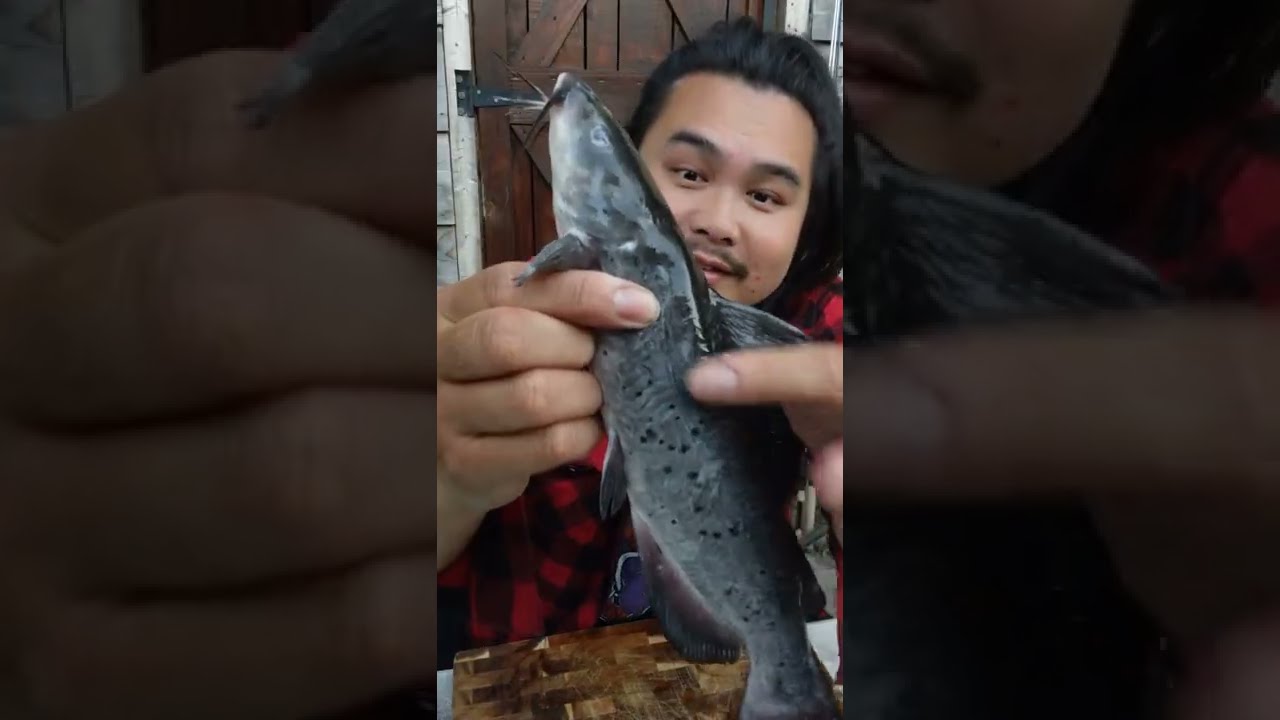 Eating Catfish Skin! YouTube