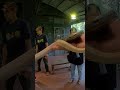 Face Your Fears! 🐍✨ | POV Holding a Real-Life Serperior