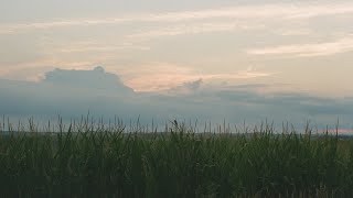 Tony Anderson - Heartland