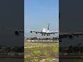 Big Bird Landing 😺👑✈️ #shorts #aviation #shortvideo