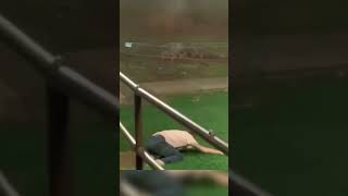 Run when you hear the sirens! #sirens #allgoodthings #ahopeinhell #memes #running #100ksubscribers
Run when you hear the sirens! #sirens #allgoodthings #ahopeinhell #memes #running #100ksubscribers Run when you hear the sirens! #sirens #allgoodthings #ahopeinhell #memes #running #100ksubscribers