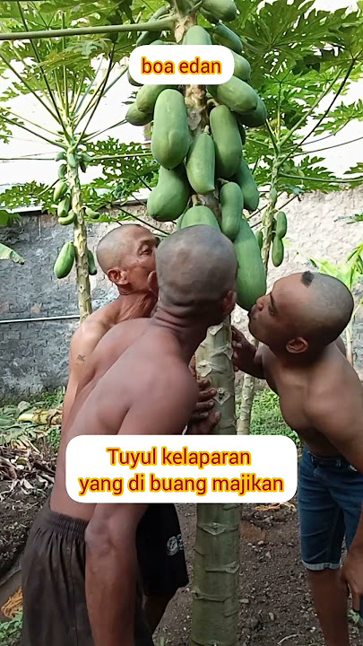 tuyul kelaparan di buang majikan #funny #comedy #foryou