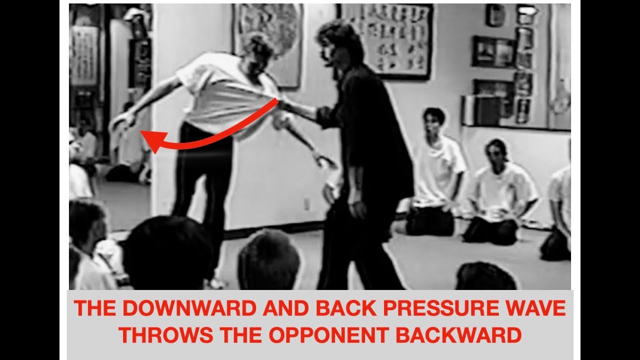 Advanced Application of Hsing-I (xingyiquan) "Tiger"