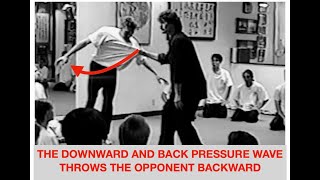 Advanced Application of Hsing-I (xingyiquan) "Tiger" screenshot 4