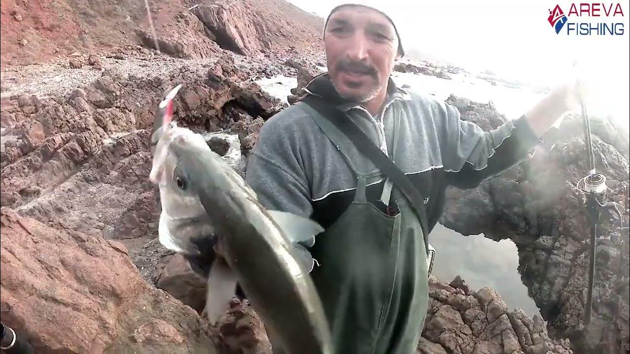 Leurres Souples - AREVA FISHING