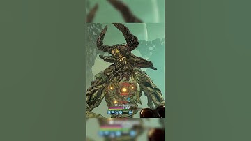 The Doom Shotgun is just CRAZY | Borderlands 3