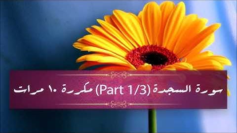 Surah As-Sajdah (part 1/3) repeated 10 times - سورة السجدة (part 1/3) مكررة 10 مرات