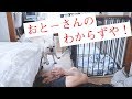 遂に完結！お風呂嫌いな犬を襲った悲劇？