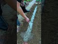 Simple way to plant seeds #plants #shorts