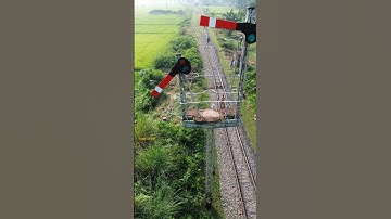 Loop Line Proceed Signal from Cabin Room. #loopline #proceed #semaphore #shorts