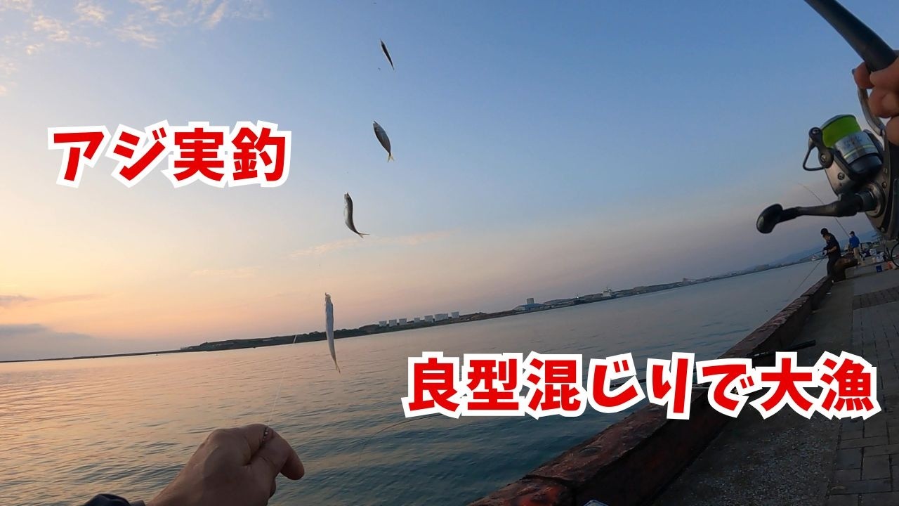 Fishing for horse mackerel and gizzard shad using sabiki rigs at