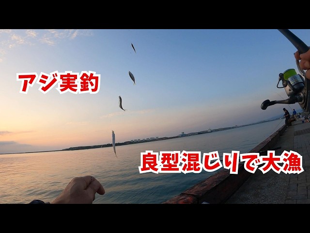 Fishing for horse mackerel and gizzard shad using sabiki rigs at