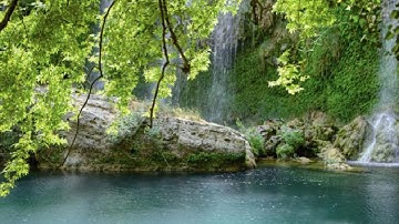 سورة القمر تلاوة رائعة بصوت الشيخ فيصل غزاوي