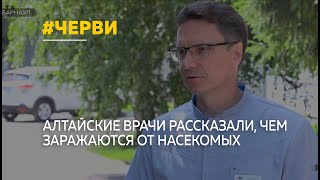 Алтайские врачи рассказали, какие неприятности могут быть от червей и насекомых
