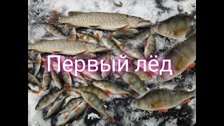 ПЕРВЫЙ ЛЁД/3 2022-2023 . НУ ОЧЕНЬ БЕШЕНЫЙ КЛЁВ ГОРБАЧА. рыбалка на ЖЕРЛИЦЫ