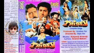 Tridev _ Eagle Jhankar _ Raat Bhar Jaam Se | By Rehan