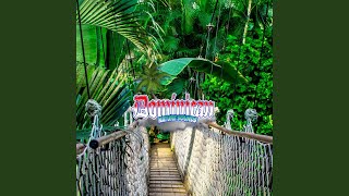 Cascading Rainforest Harmony