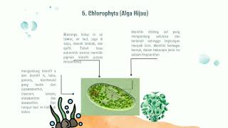 Alga : Pengertian, jenis-jenis, karakteristik dan manfaat Alga