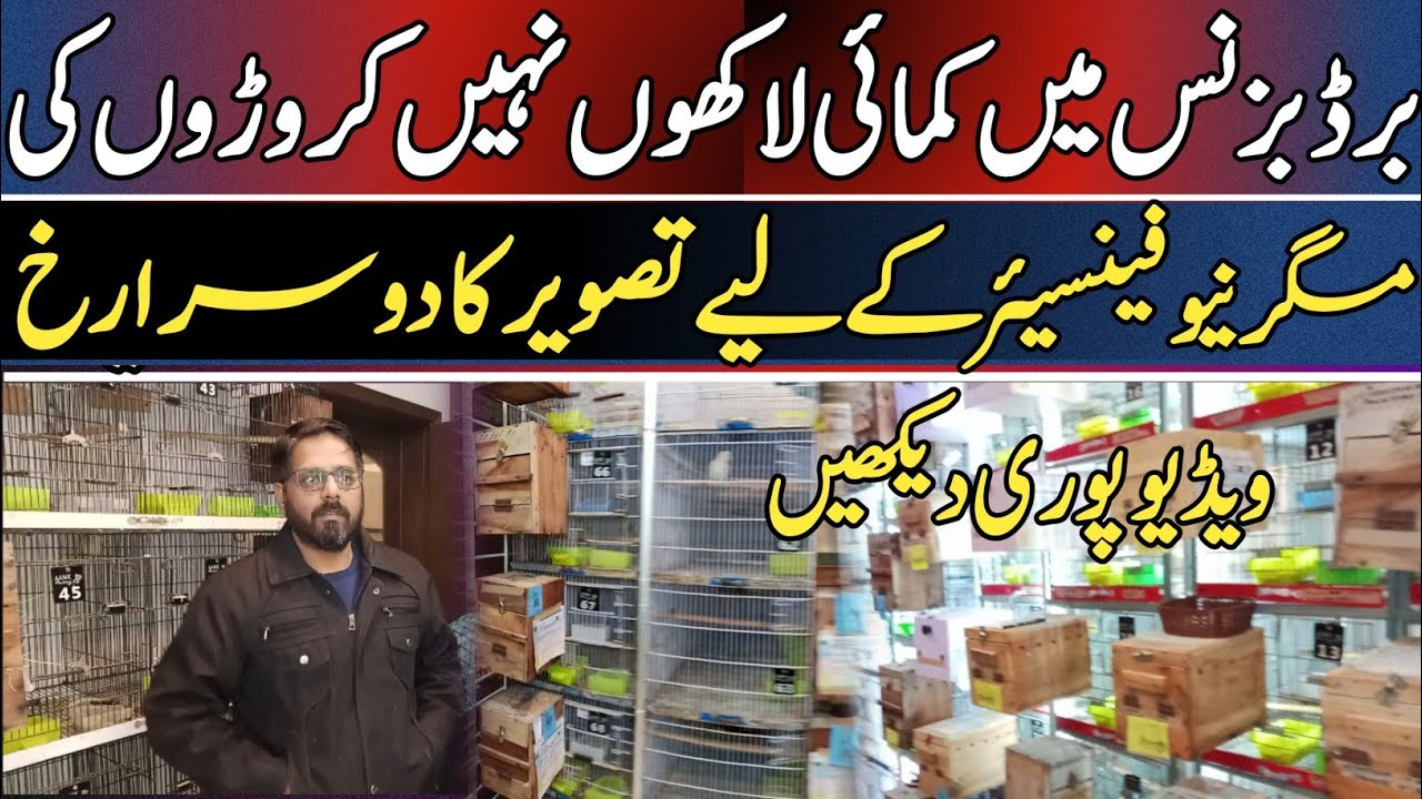 Low Cost Business Idea With High Profit Potential So Profitable