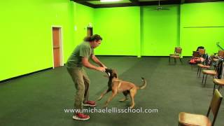 Michael Ellis & Monk