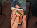 Let's Open TMNT x MTG Collector Booster! Spot anything useful?